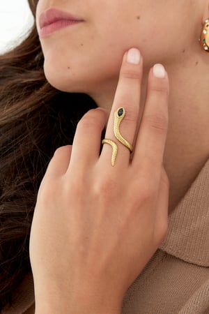 Black snake ring - Silver Color color h5 Picture3